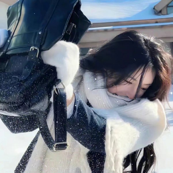不安分的狗